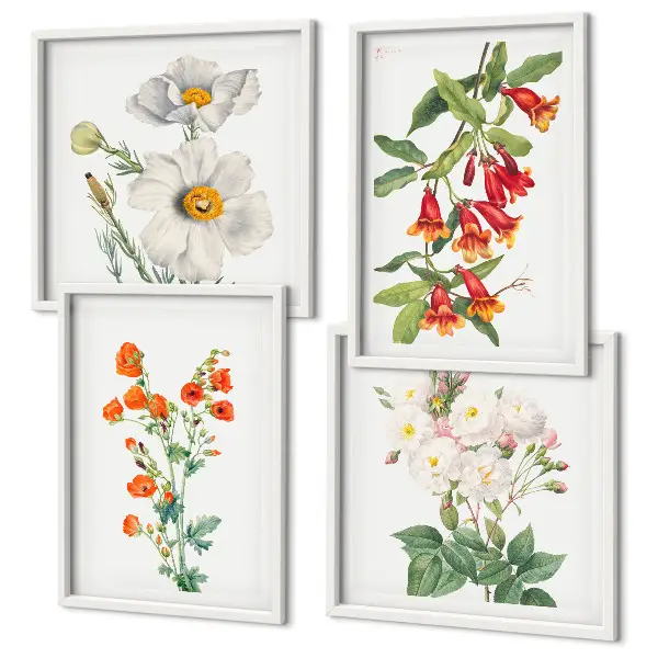 Set de cuadros modernos para salón con diseño de pintura floral retro