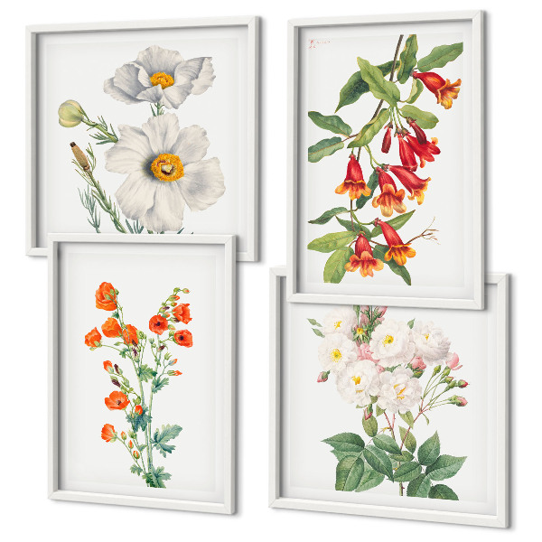 Set de cuadros modernos para salón Pintura floral retro