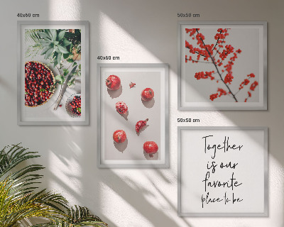 Set de 4 cuadros para salón Frutos rojos de plantas minimalismo