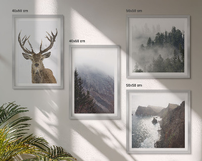 Galería de pared paisaje de montaña niebla ciervo