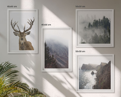 Galería de pared paisaje de montaña niebla ciervo
