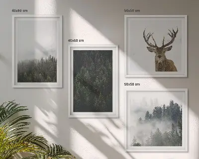 Set de cuadros modernos para salón con diseño de paisaje de bosque verde brumoso