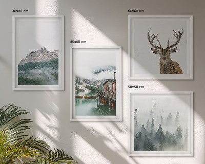 Galería de pared Montañas lago ciervo cabaña niebla