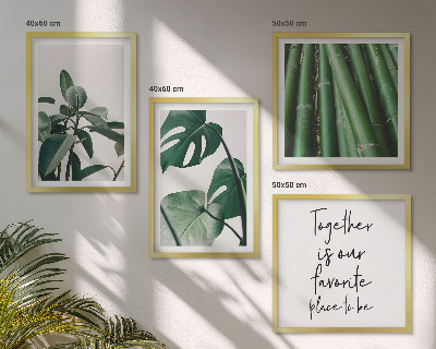 Galería de pared hojas de la planta de bambú