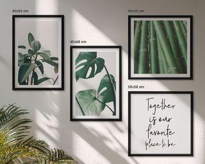 Galería de pared hojas de la planta de bambú