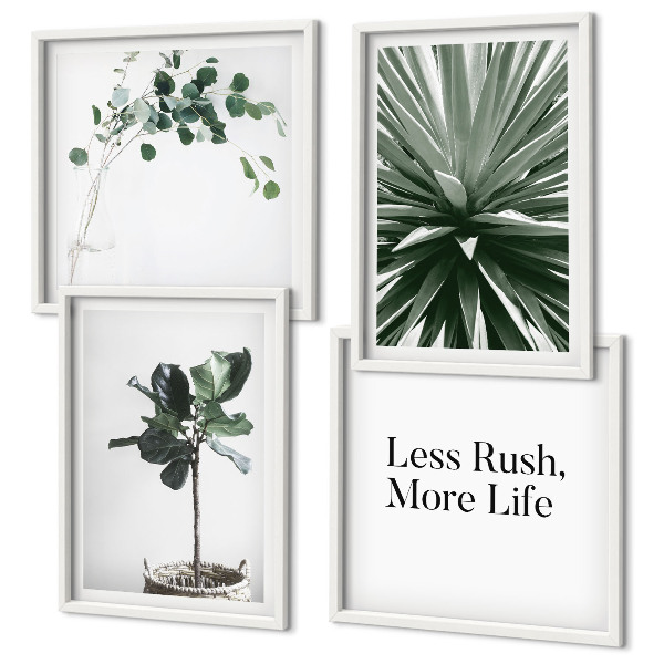 Galería de pared Minimalismo con plantas verdes