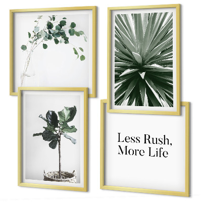 Galería de pared Minimalismo con plantas verdes