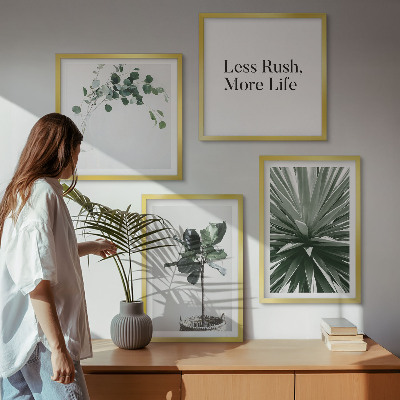 Galería de pared Minimalismo con plantas verdes