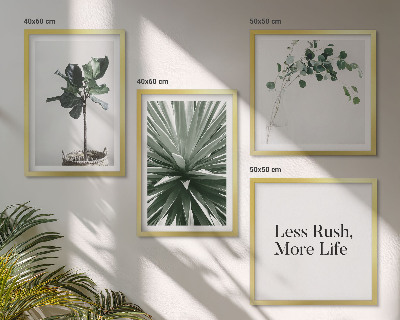 Galería de pared Minimalismo con plantas verdes