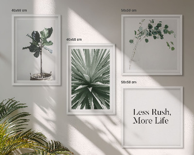 Galería de pared Minimalismo con plantas verdes