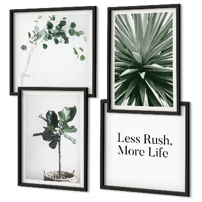 Galería de pared Minimalismo con plantas verdes