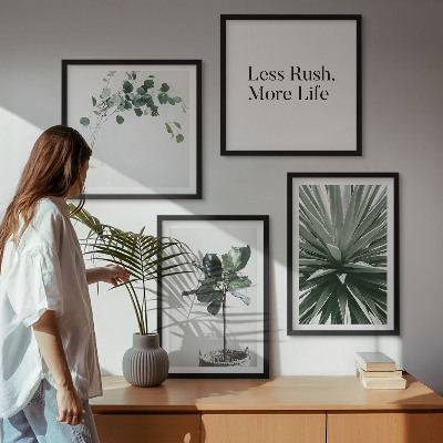 Galería de pared Minimalismo con plantas verdes