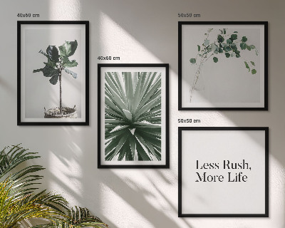Galería de pared Minimalismo con plantas verdes
