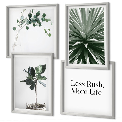 Galería de pared Minimalismo con plantas verdes