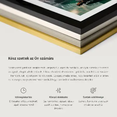 Conjunto de cuadros decorativos con diseño moderno de pájaros y olas