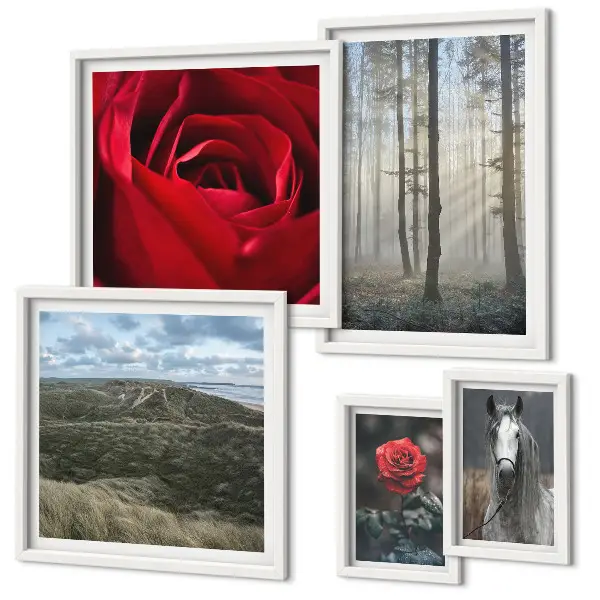 Pared galería de arte con diseño de flores de la naturaleza en diferentes estilos