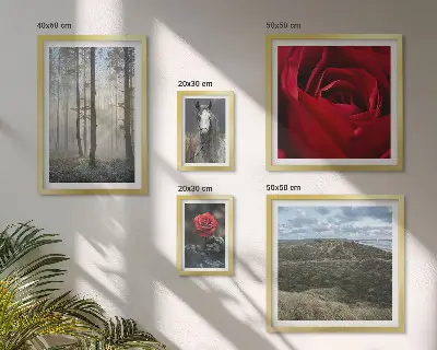 Pared galería de arte con diseño de flores de la naturaleza en diferentes estilos