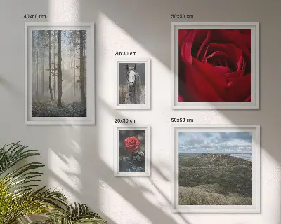 Pared galería de arte con diseño de flores de la naturaleza en diferentes estilos