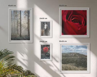 Pared galería de arte Flores de la naturaleza de diferentes estilos
