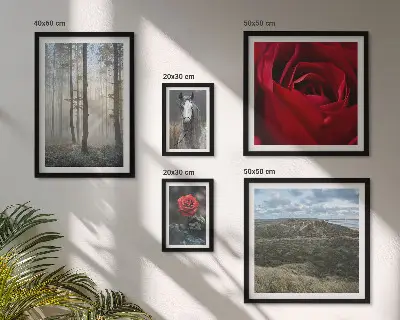 Pared galería de arte con diseño de flores de la naturaleza en diferentes estilos