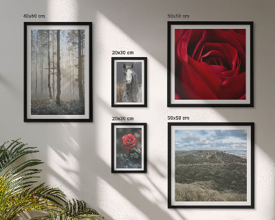 Pared galería de arte Flores de la naturaleza de diferentes estilos