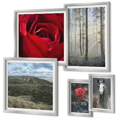 Pared galería de arte con diseño de flores de la naturaleza en diferentes estilos