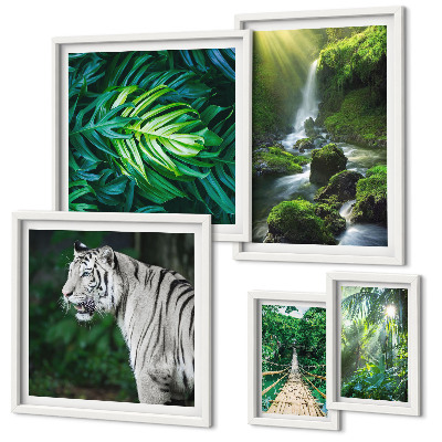 Pared galería de arte paisajes naturales tropicales
