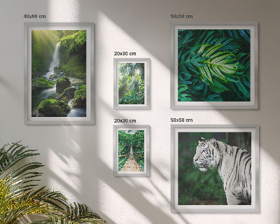 Pared galería de arte paisajes naturales tropicales