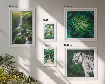 Pared galería de arte paisajes naturales tropicales