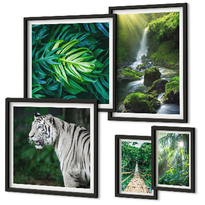 Pared galería de arte paisajes naturales tropicales