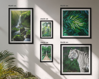 Pared galería de arte paisajes naturales tropicales