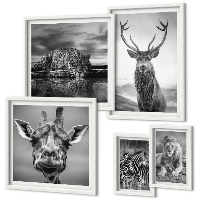 Pared galería de arte Animales blancos y negros en la naturaleza