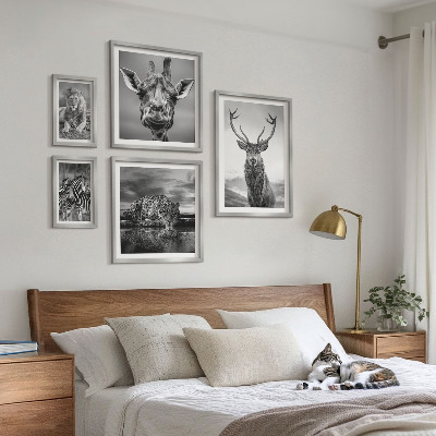 Pared galería de arte Animales blancos y negros en la naturaleza