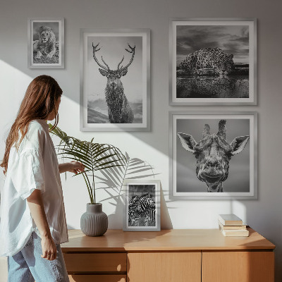 Pared galería de arte Animales blancos y negros en la naturaleza