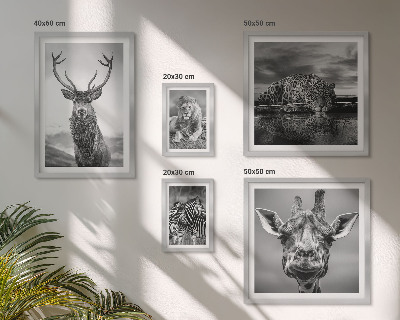Pared galería de arte Animales blancos y negros en la naturaleza