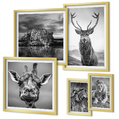 Pared galería de arte Animales blancos y negros en la naturaleza