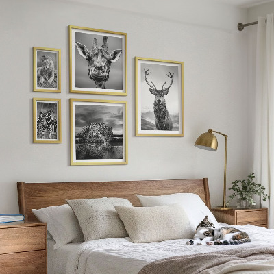 Pared galería de arte Animales blancos y negros en la naturaleza