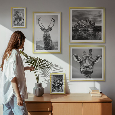 Pared galería de arte Animales blancos y negros en la naturaleza