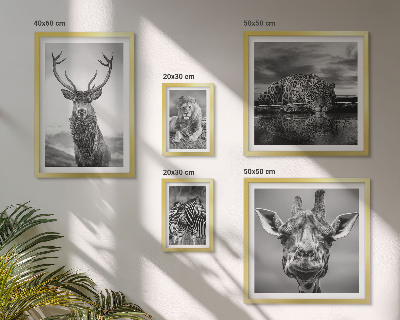 Pared galería de arte Animales blancos y negros en la naturaleza