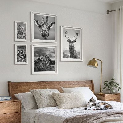 Pared galería de arte Animales blancos y negros en la naturaleza