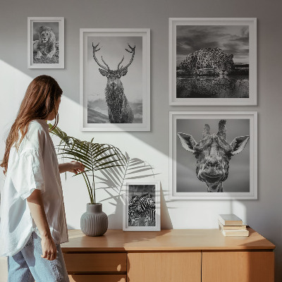 Pared galería de arte Animales blancos y negros en la naturaleza