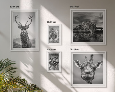 Pared galería de arte Animales blancos y negros en la naturaleza