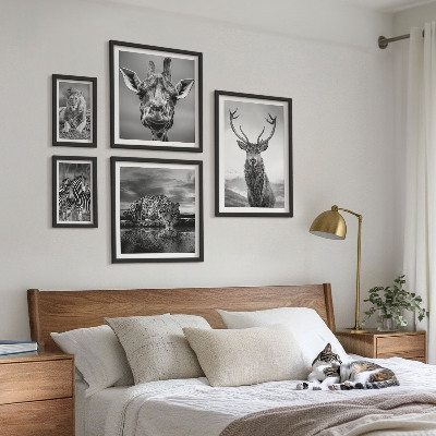 Pared galería de arte Animales blancos y negros en la naturaleza