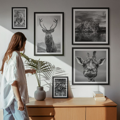 Pared galería de arte Animales blancos y negros en la naturaleza