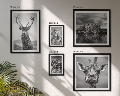 Pared galería de arte Animales blancos y negros en la naturaleza