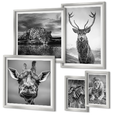 Pared galería de arte Animales blancos y negros en la naturaleza