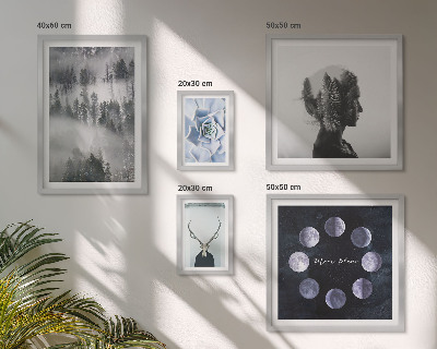 Pared galería de arte motivos de espacios forestales naturales