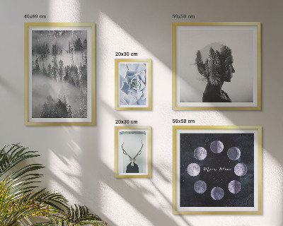 Pared galería de arte motivos de espacios forestales naturales