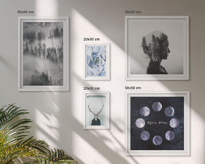Pared galería de arte motivos de espacios forestales naturales