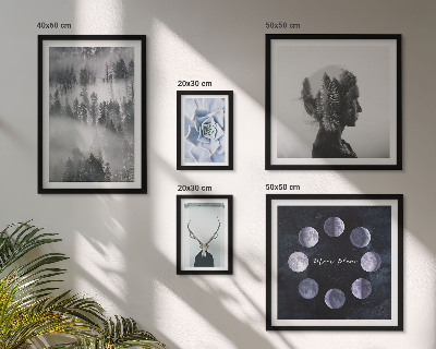 Pared galería de arte motivos de espacios forestales naturales